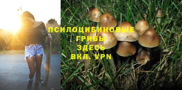 марки lsd Алексеевка