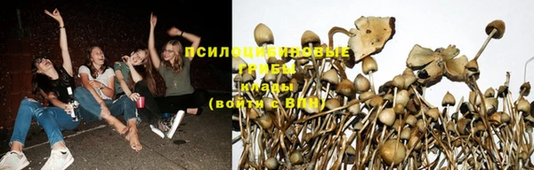spice Алзамай